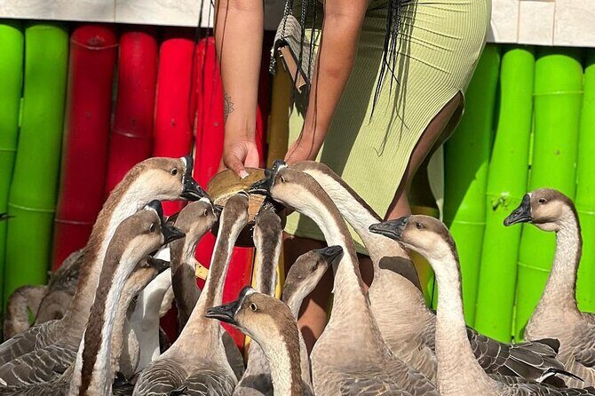 Bird Sanctuary and animal farm Day Tour - Transportation, Timing, and Group Size