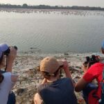 Bird Walk at Navi Mumbai - What You Can Expect During the Tour