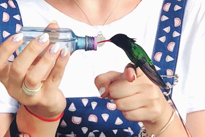 Bird Watcher's Paradise at Rockland Bird Sanctuary - What to Expect During Your Visit