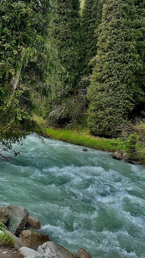 Bishkek: Kyrgyzstan 7-Day Guided Tour Meals & Accommodation - Authentic Experiences That Make It Special