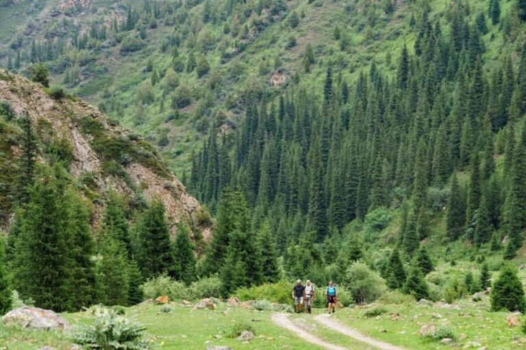 Bishkek: Shamsi Gorge Day Trip - The Sum Up