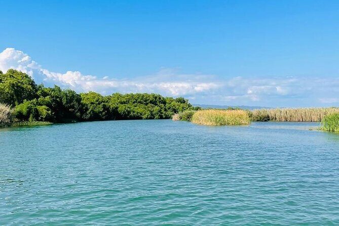 Black River Safari YS Falls Lunch Classic Combo From Negril - Why You’ll Love This Tour