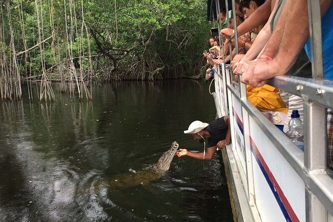 Black River Safari/YS Falls plus Floyd's Pelican Bar Private Tour - Practical Details and Logistics