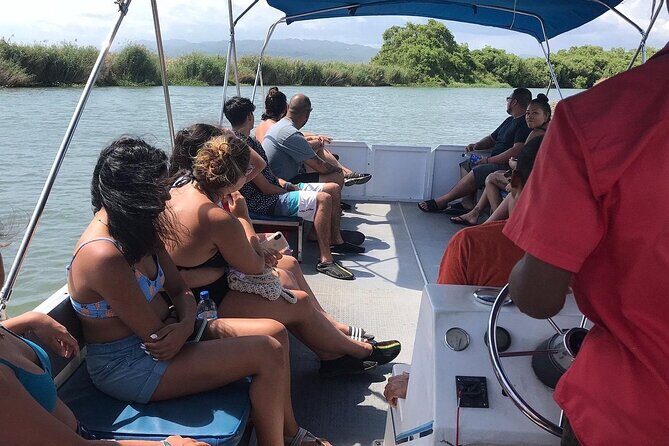 Black River Safari - Practical Details & Logistics