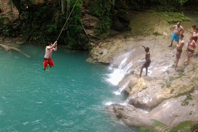 Blue Hole, Dunn's River Falls Luminous Lagoon Excursion From Montego Bay - Practical Details and Tips