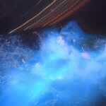 Blue Hole Island Gully and Glistening Water Lagoons night Tour - Who Should Consider This Tour?