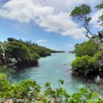 Blue Lagoon Express Bus - What Makes This Tour Stand Out