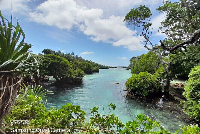 Blue Lagoon Express Bus - What Makes This Tour Stand Out