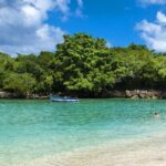 Blue Lagoon Full Day Tour with Lunch and Transfer - The Convenience of Hotel Pickup and Transportation