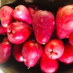 Blue Lagoon & Laguna el dudu from puerto plata - Practical Details and What to Expect