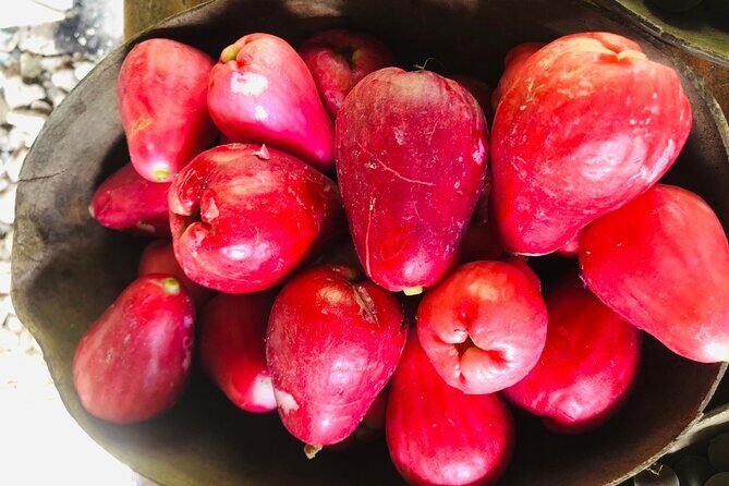 Blue Lagoon & Laguna el dudu from puerto plata - Practical Details and What to Expect