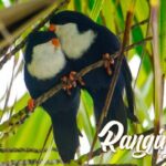 Blue Lagoon - PRIVATE ISLAND Pink sand beach and wildlife reserve - What We Loved About This Experience