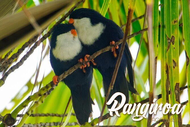 Blue Lagoon - PRIVATE ISLAND Pink sand beach and wildlife reserve - What We Loved About This Experience