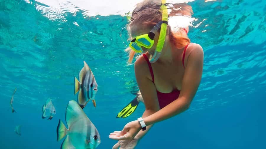 Blue lagoon Snorkeling Tour with Lunch & Private Transfers - Why This Tour Really Works for You