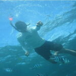 Blue Lagoon Snorkeling with Lunch and Private Transport - The Sum Up