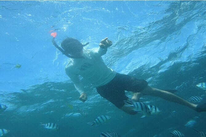 Blue Lagoon Snorkeling with Lunch and Private Transport - The Sum Up