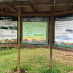 Blue Mountain Peek, and Site Seeing - Final Thoughts: Is This Tour Worth It?