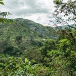 Blue Mountain Private Tour in Jamaica - Who Will Love This Tour?