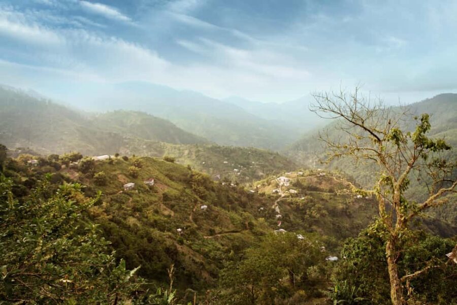 Blue Mountain Tour: A Half-Day Escape from Kingston - Holywell Park: The Heart of the Tour