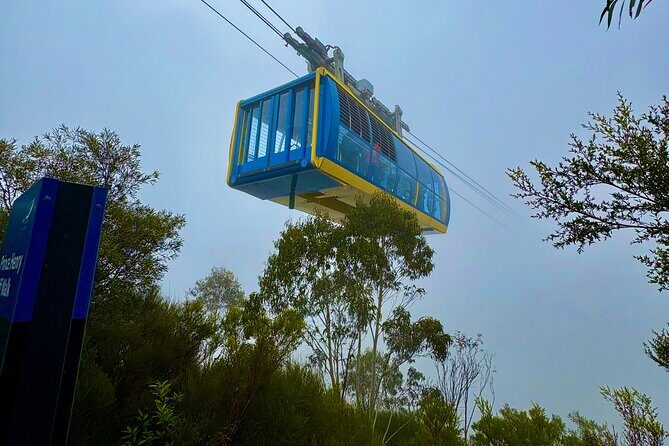 Blue Mountains Day Tours W Scenic World and Lunch - Potential Drawbacks and Considerations