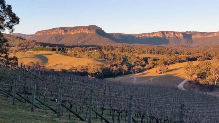 Blue Mountains: Megalong Valley Wine Tasting & Lunch - The Itinerary: What Youll Experience