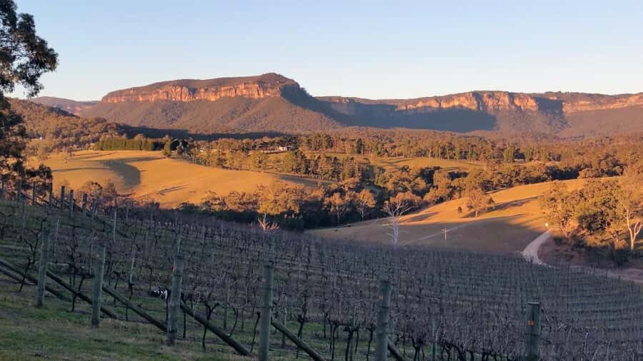 Blue Mountains: Megalong Valley Wine Tasting & Lunch - The Itinerary: What Youll Experience
