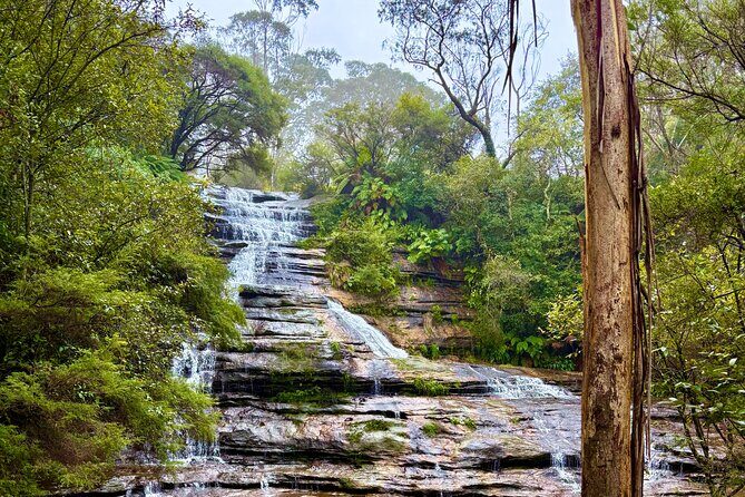 Blue Mountains Private Sightseeing Day Tours from Sydney - The Bottom Line: Who Is This Tour Best For?