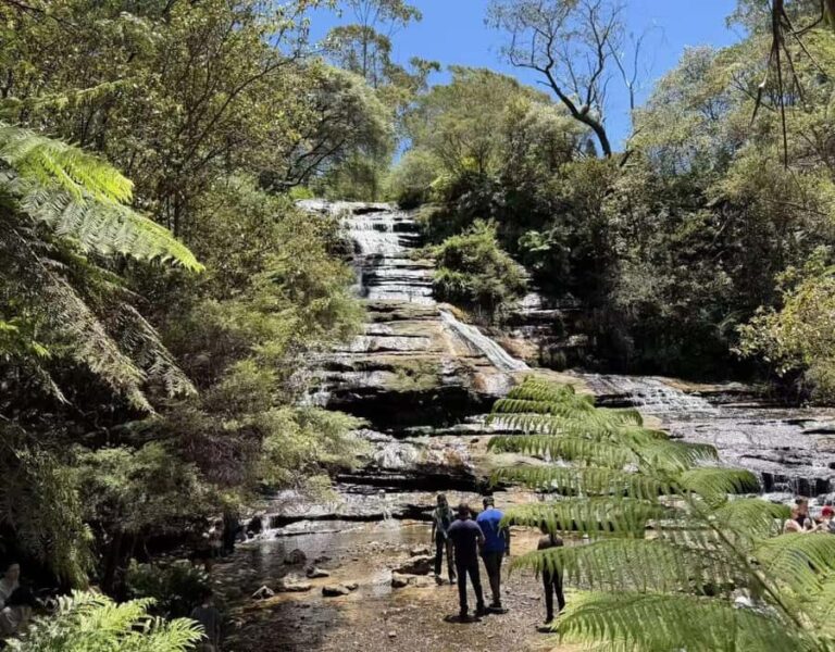Blue Mountains Tour, Katoomba Falls & Cockatoos Small Group - A Deep Dive into the Itinerary