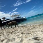 Boat Charters & Excursions - Why This Tour Might Be Perfect for You