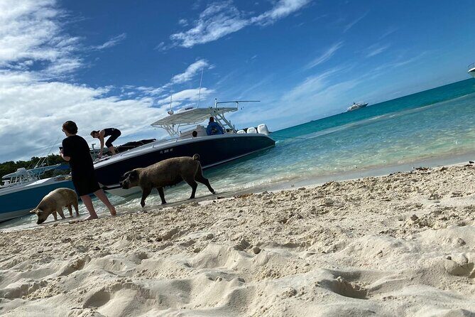 Boat Charters & Excursions - Why This Tour Might Be Perfect for You