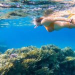 Boat Day Trip with Transport from San Juan to Fajardo - The Itinerary: What to Expect