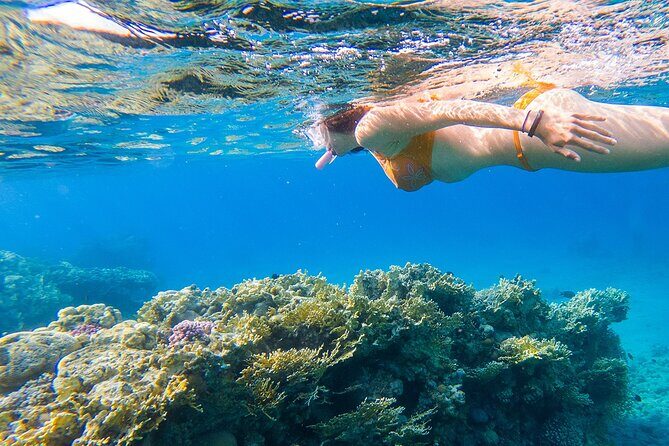 Boat Day Trip with Transport from San Juan to Fajardo - The Itinerary: What to Expect