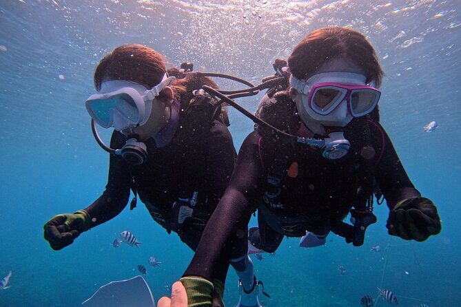 Boat entry diving at the Blue Cave in Onna Village, Okinawa! - What to Expect from the Tour