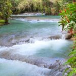 Bob Marley Birthplace and Dunns River Falls Private Tour - An In-Depth Look at the Tour Experience