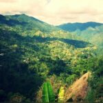 Bob Marley Nine Mile Home Private Tour from Montego Bay - Why This Tour Will Meet Your Expectations