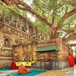 Bodhgaya: Buddhist Pilgrimage Temple & Monastery Day Tour - Exploring International Monasteries