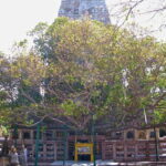 BODHGAYA FULL DAY TOUR - Who Should Consider This Tour?