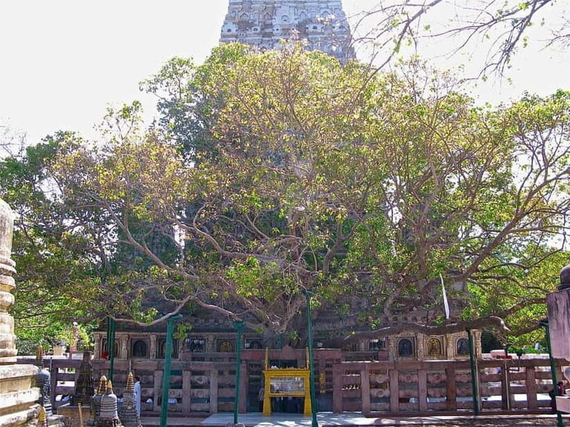 BODHGAYA FULL DAY TOUR - Who Should Consider This Tour?
