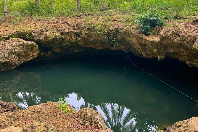 Bohol Anda, Candijay & Alicia Day Hike Private Tour - Practical Details & Highlights