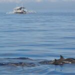 Bohol: Balicasag Boat Tour with extra snorkeling time - An In-Depth Look at the Tour