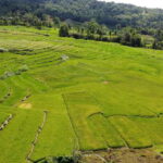 Bohol Candijay Rice Terraces, Water Falls & Anda Beach - Exploring the Full Itinerary in Depth