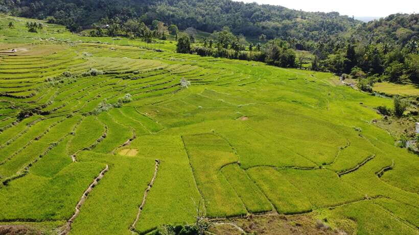 Bohol Candijay Rice Terraces, Water Falls & Anda Beach - Exploring the Full Itinerary in Depth
