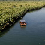 Bohol: Choco Tour + Rio Verde Lunch Buffet - Practical Details You Should Know