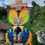 BOHOL: Chocolate Hills, Tarsiers and Loboc River Day Tour - An In-Depth Look at the Itinerary