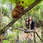 Bohol Chocolate Hills, Tarsiers & Loboc River Private Tour - Starting Point and Logistics