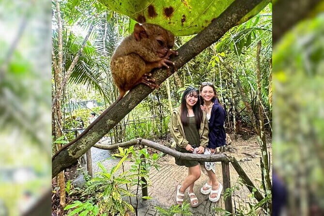 Bohol Chocolate Hills, Tarsiers & Loboc River Private Tour - Starting Point and Logistics