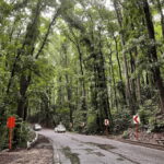 Bohol Chocolate Hills Tour with Loboc River Lunch Buffet - What’s Included and What’s Not