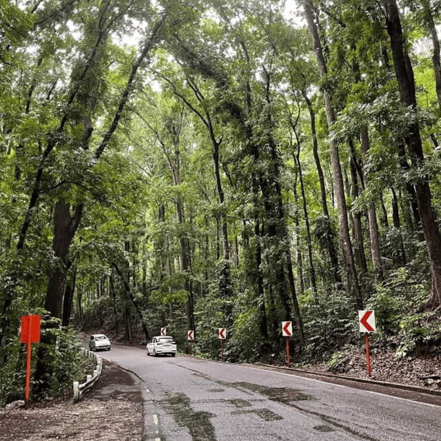 Bohol Chocolate Hills Tour with Loboc River Lunch Buffet - What’s Included and What’s Not
