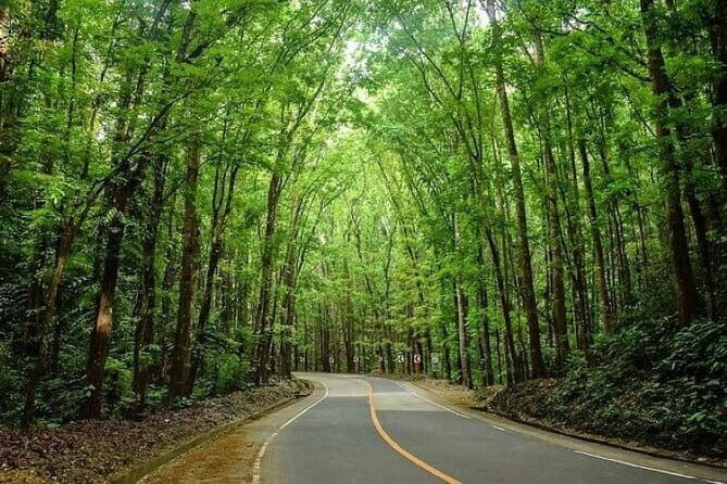 Bohol Countryside Tour with Lunch at Loboc River Cruise - Authentic Insights from Past Travelers