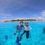 BOHOL: Dolphin Watching, Turtle Swim and Island Party - Practical Details and Tips